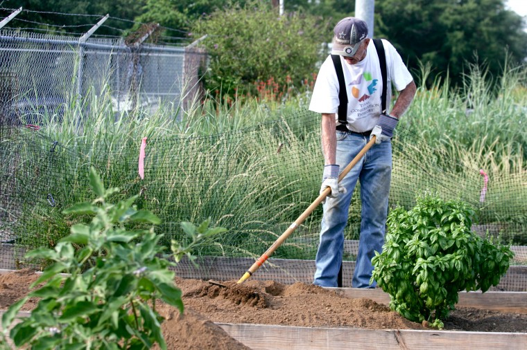 Master Gardeners Tour